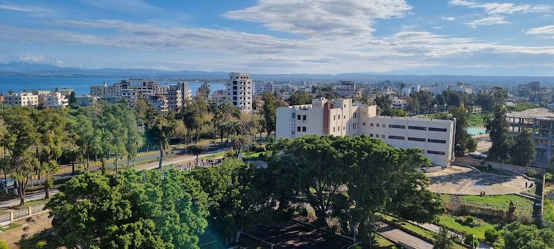 الميريديان