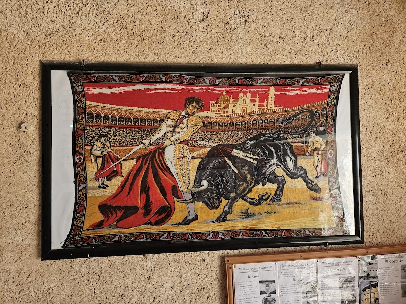 حلبة الثيران وهران 3