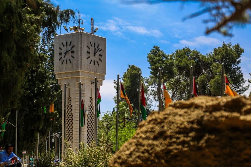الجامعة الأردنية