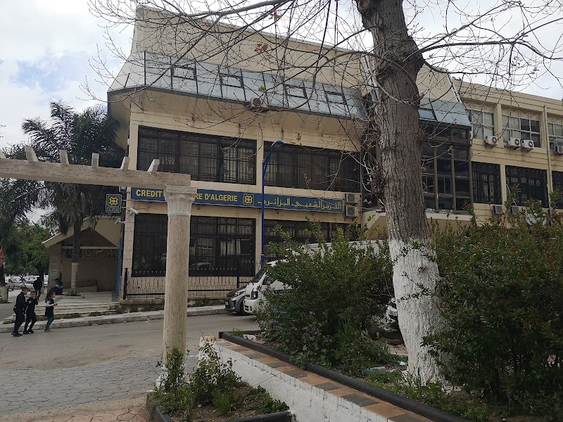 الائتمان الشعبي الجزائر 4