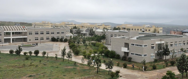 كلية الفنون والعلوم الاجتماعية