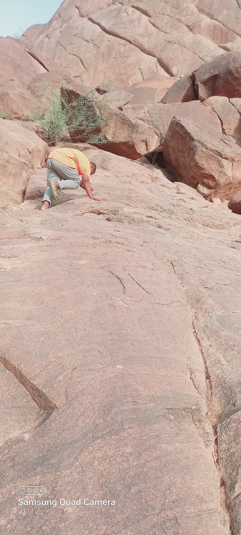 أرض الجقول 4