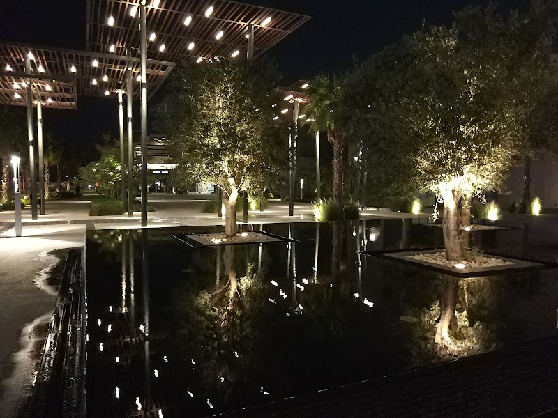 مارسا عجمان 4