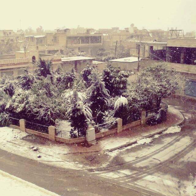 حديقة عامة 4