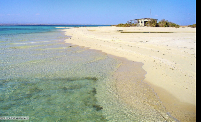 مركز غطس أسرار البحر الأحمر 4