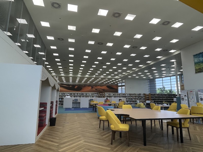 جامعة الإمارات العربية المتحدة 4