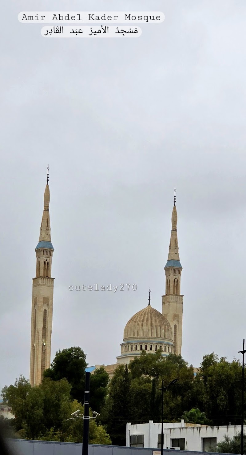 مسجد أمير عبد القادر 4