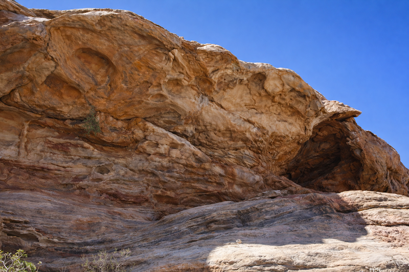 وكالة السفر شين