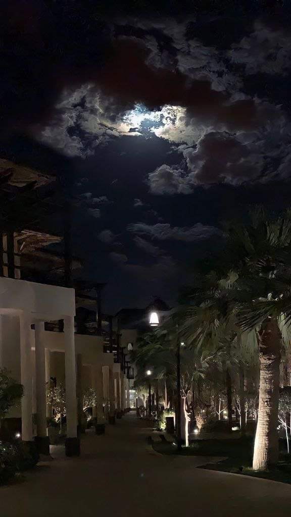 بقالية ابو عبدو الطرشة 2