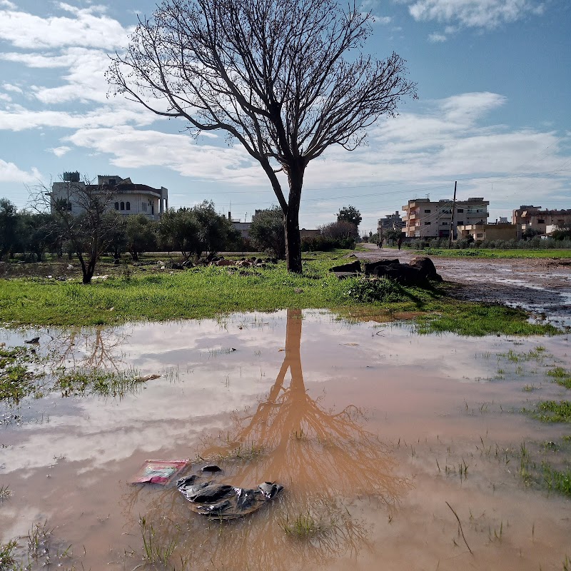 شاورما الزين 2