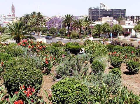 ماي جاه جاه 3