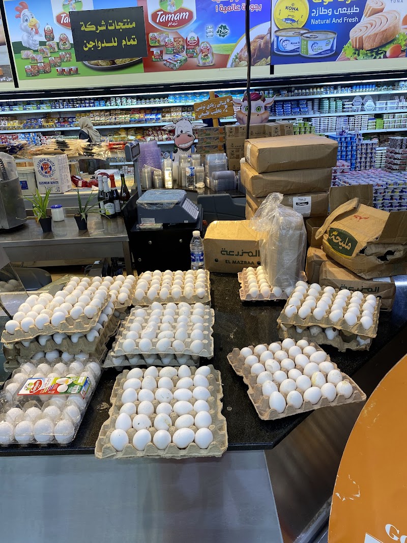 مول كابو فينيسيا 4