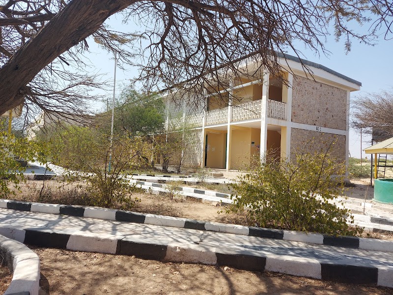 جامعة هرجيسا 2