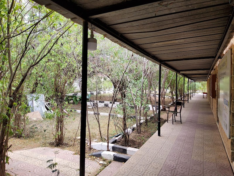 جامعة هرجيسا 3