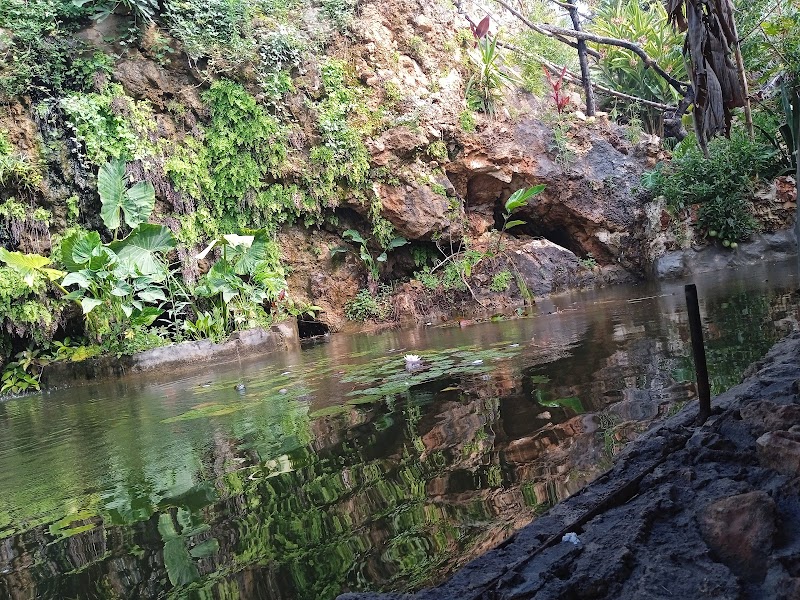 المغارة الاستوائية