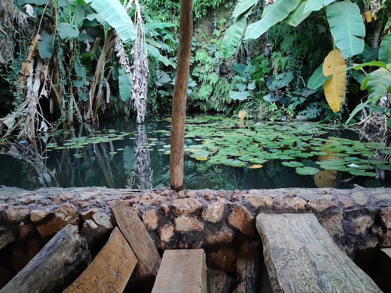 المغارة الاستوائية 2