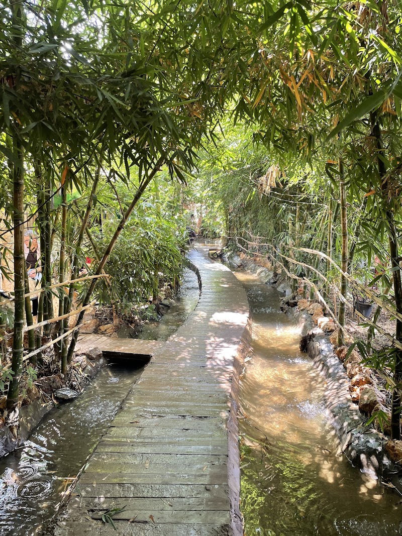 المغارة الاستوائية 3