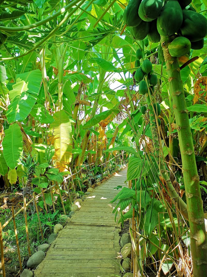 المغارة الاستوائية 4