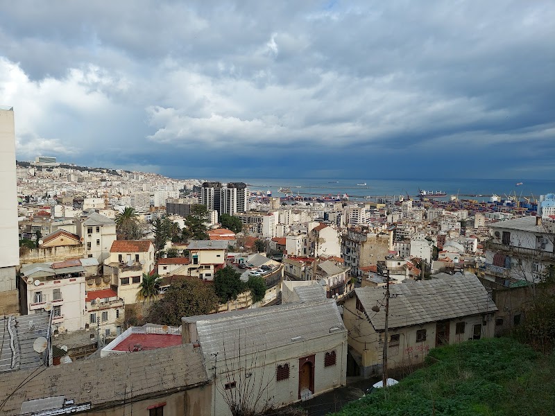 نقطة الرؤية