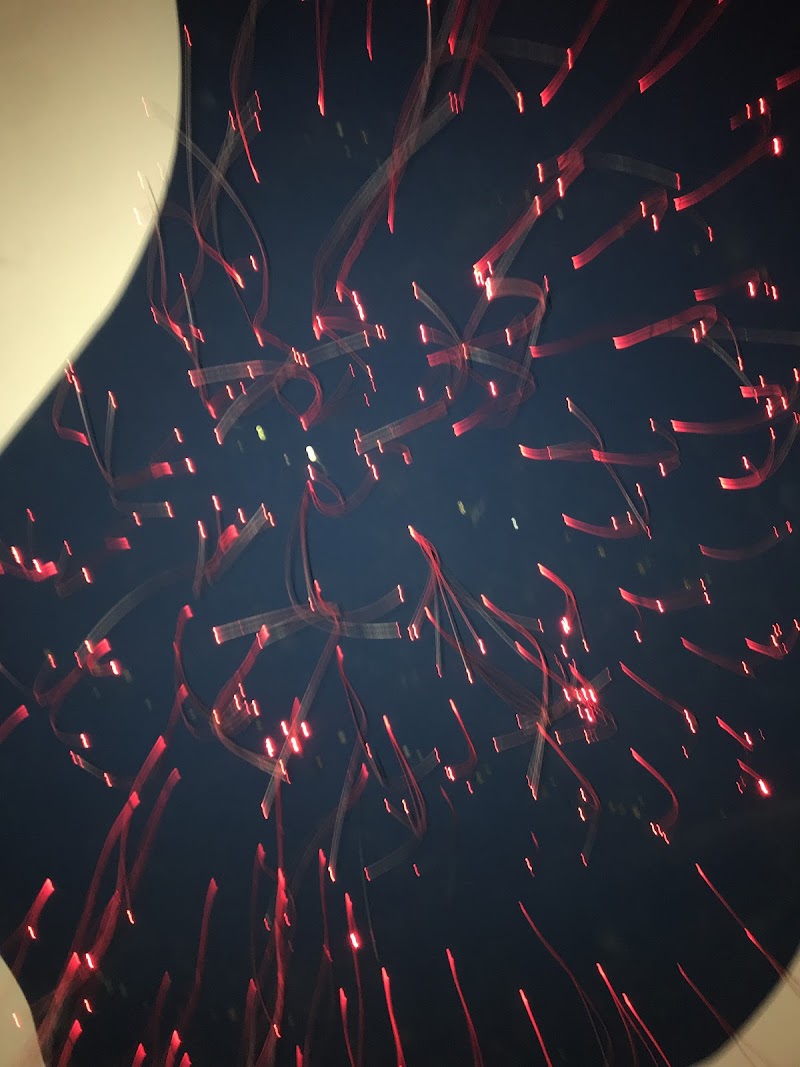 سبا لوتس الأزرق وهران 2