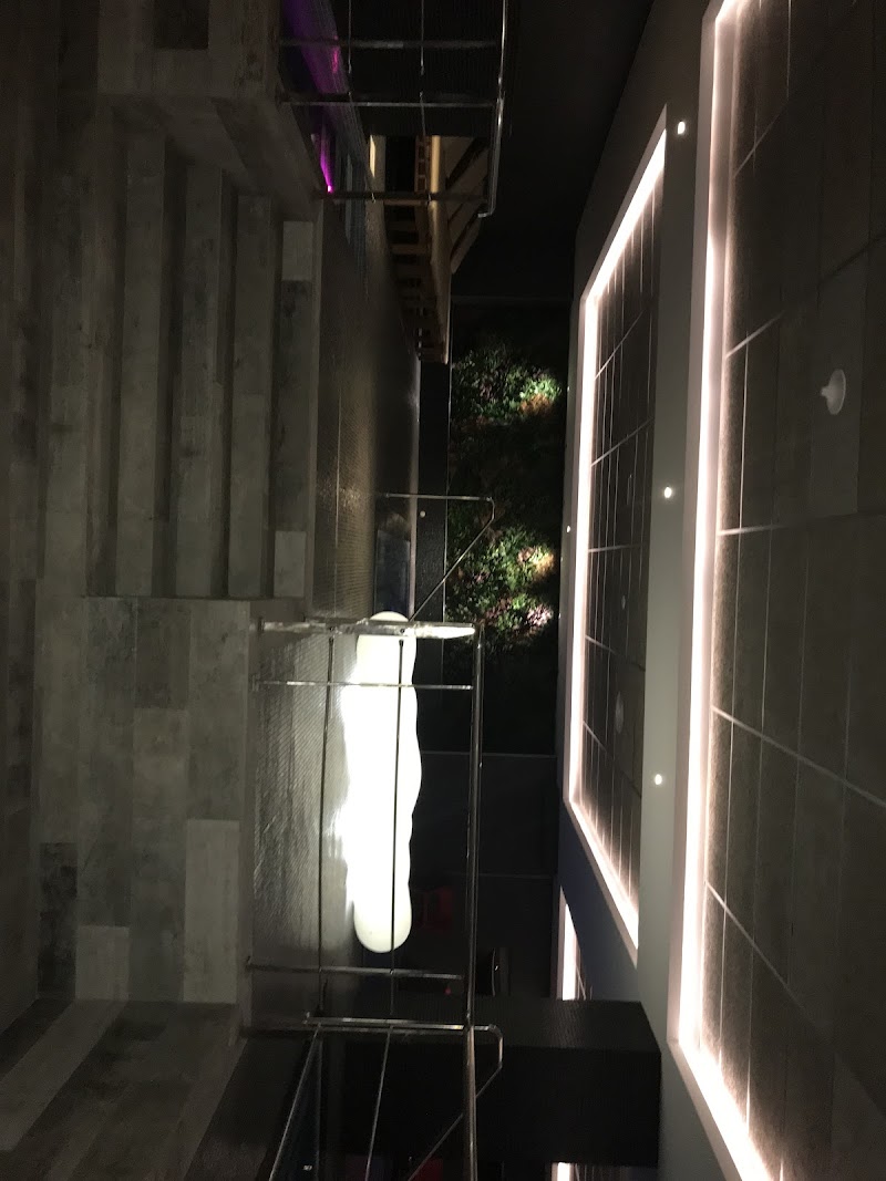 سبا لوتس الأزرق وهران 4