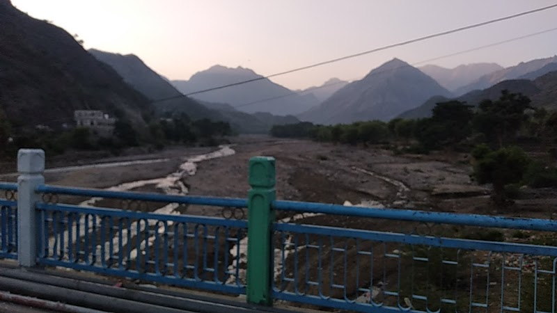 عسل الاصيل 4