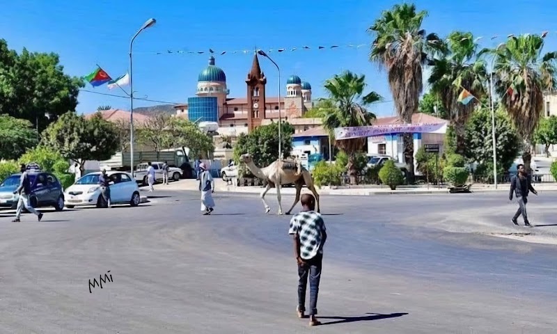 دوار مدينة كرين 4