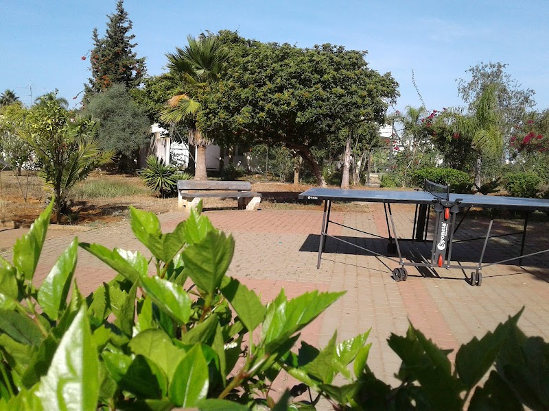 مدرسة علوم المعلومات 4