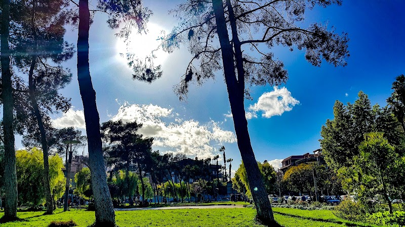 حديقة السبكي 4