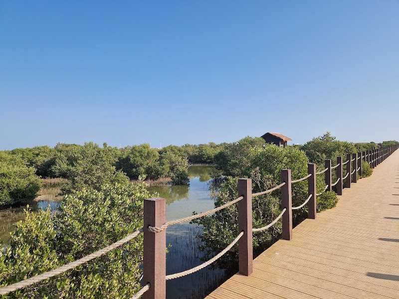 الجزيرة الأرجوانية، المنغروف 3