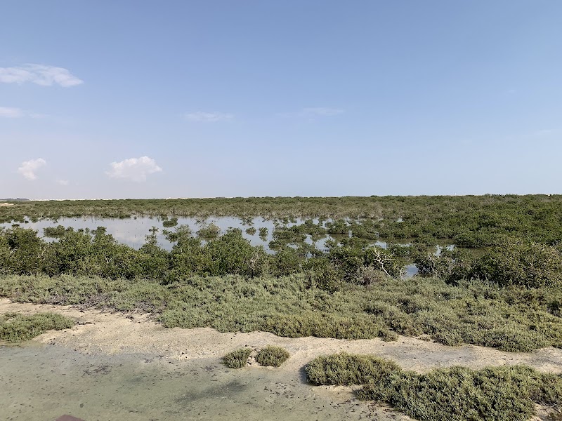 الجزيرة الأرجوانية، المنغروف 4