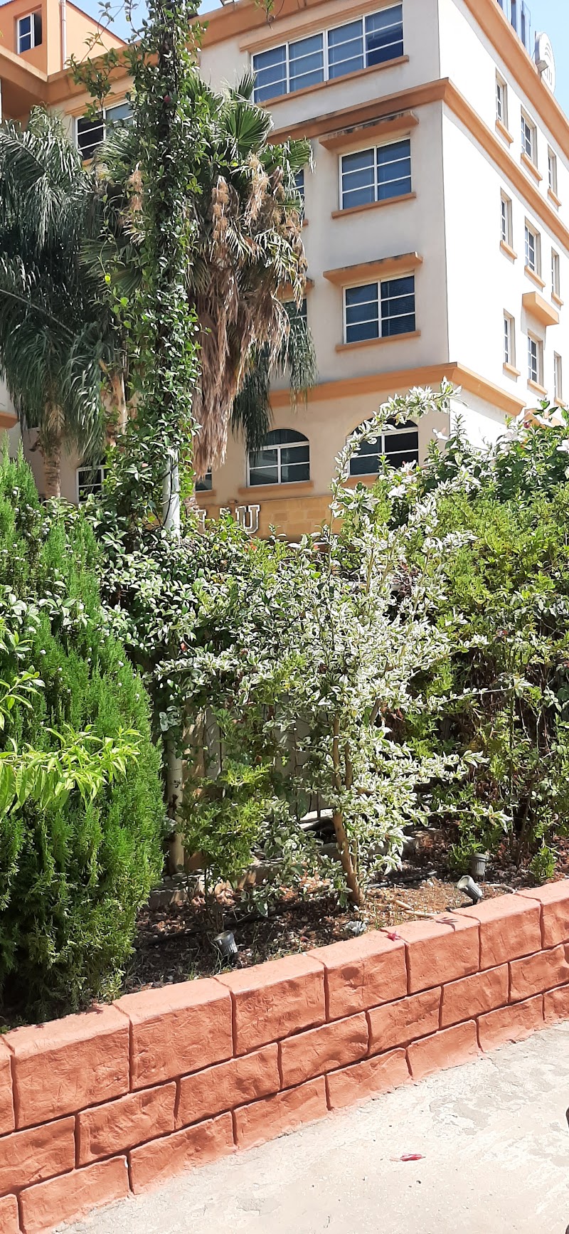 الجامعة اللبنانية الدولية 3