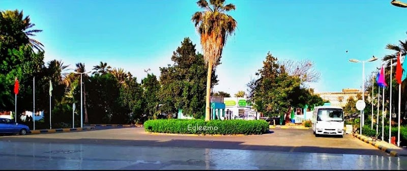 كلية الطب والعلوم الصحية - جامعة عدن 3