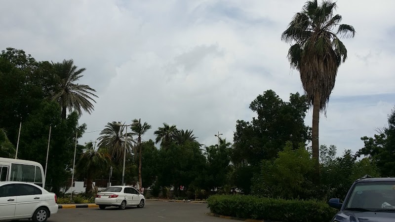 كلية الطب والعلوم الصحية - جامعة عدن 4