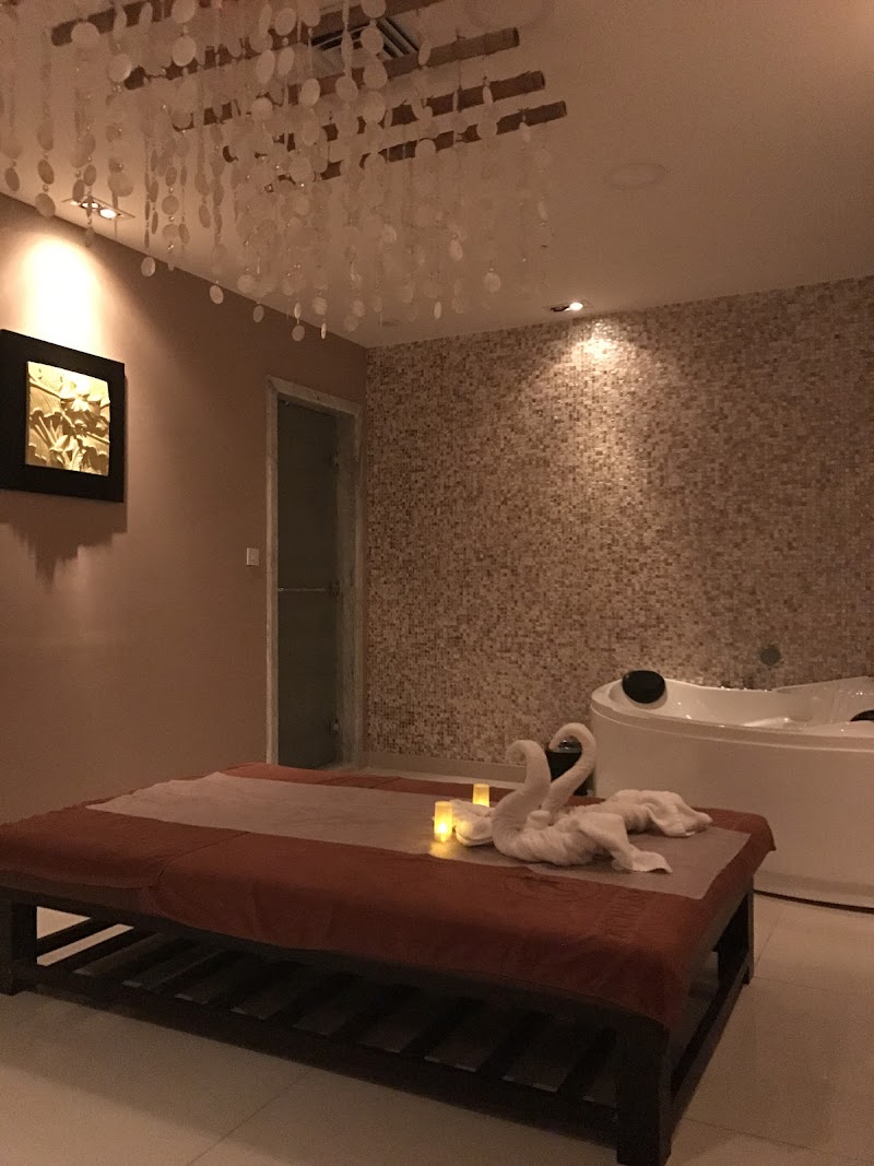 سبا الأعشاب 2