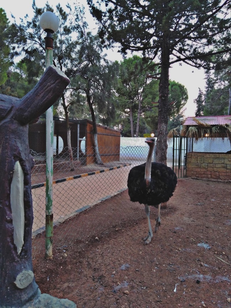 حديقة الحيوانات