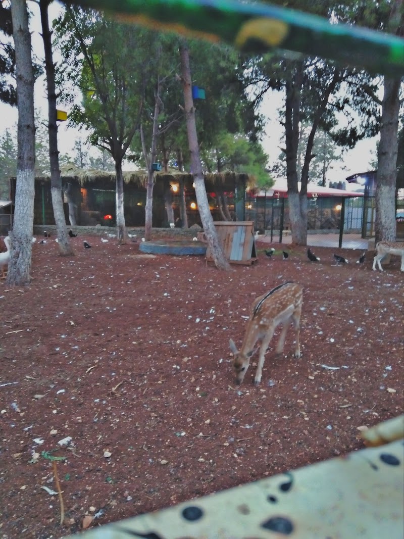 حديقة الحيوانات 2