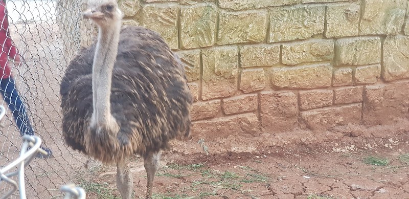 حديقة الحيوانات 3