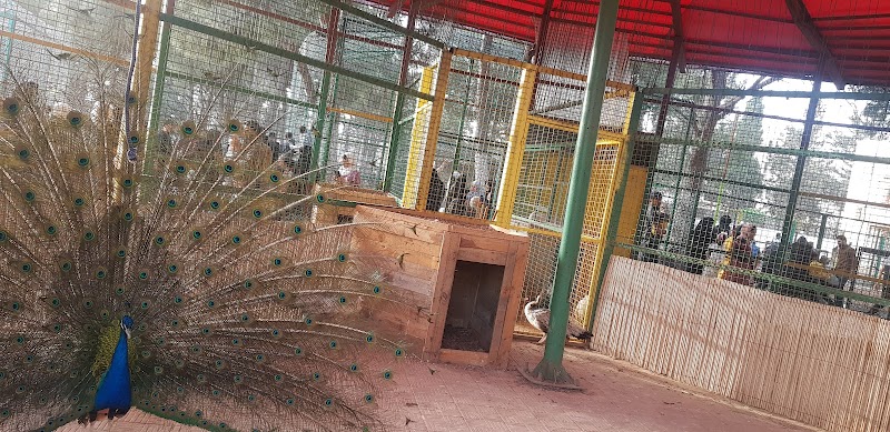 حديقة الحيوانات 4