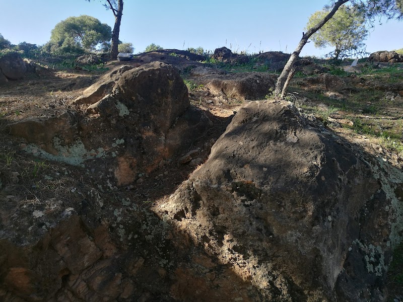 غابة سيدي معافة 2