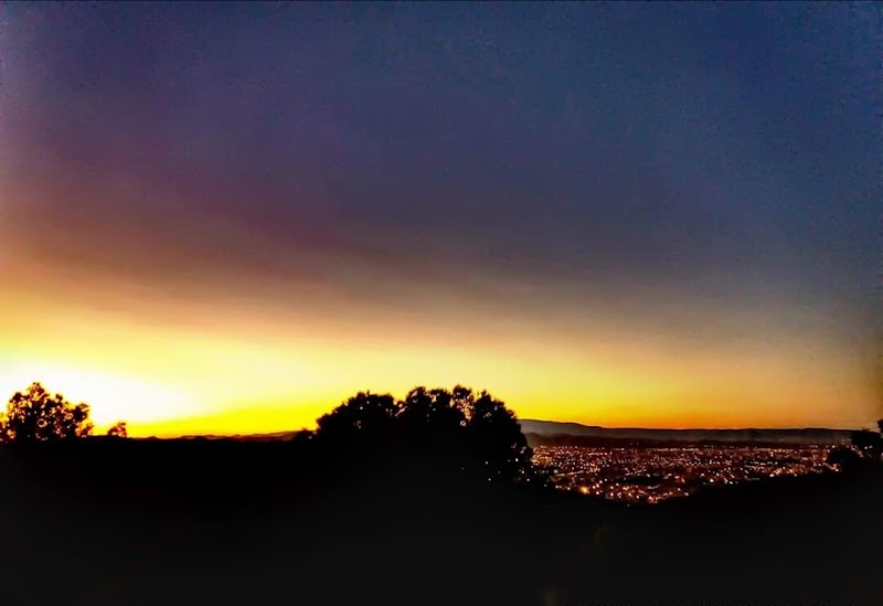 غابة سيدي معافة 4