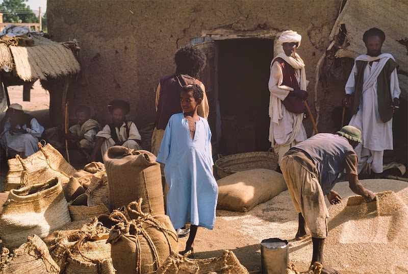 جبل التاكا - كسلا 4