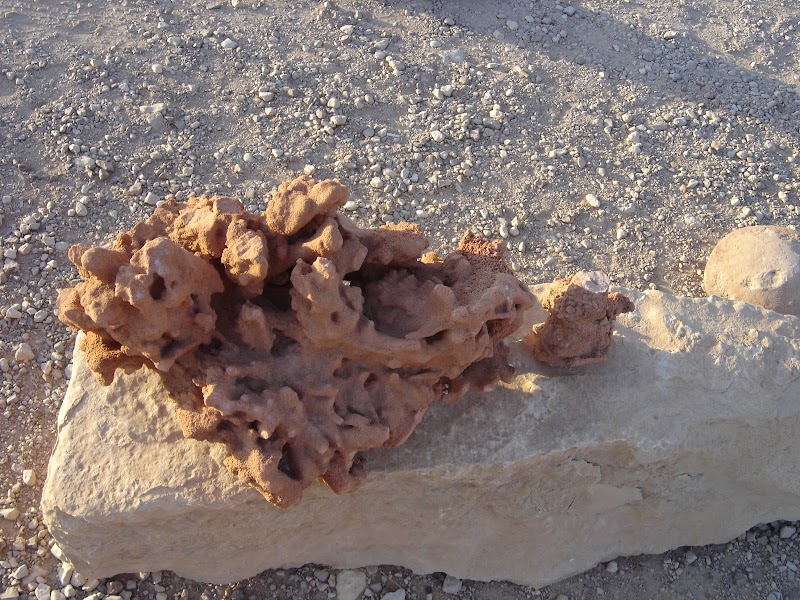 كافيه بغداد 66 2