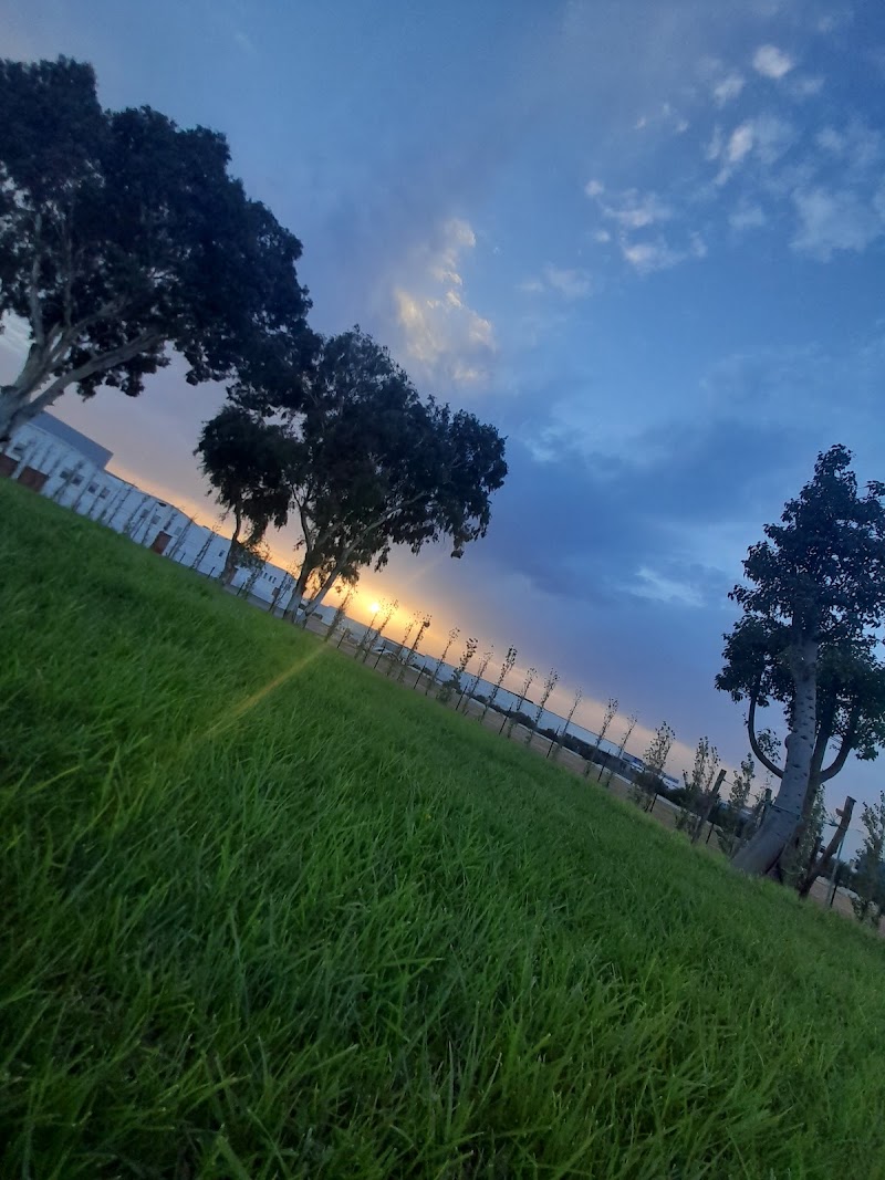 كلية الطب و الصيدلة بطنجة 4