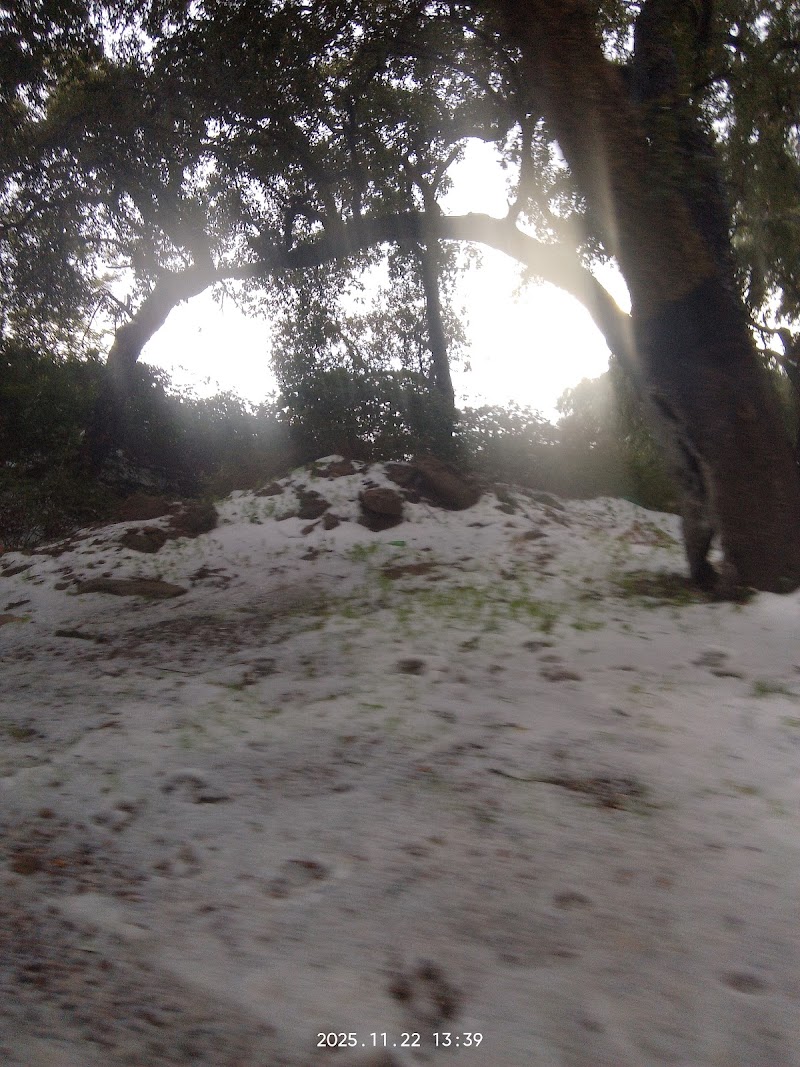 عنابة من فوق الجبل 3