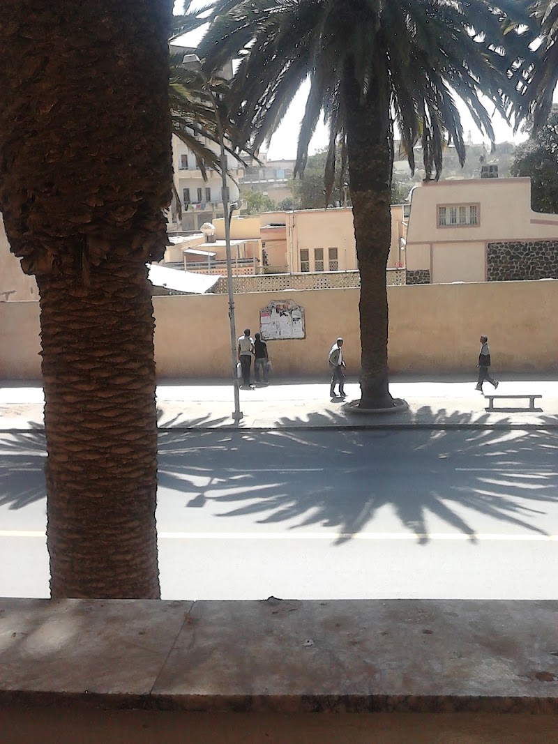 بيت ضيافة داميرا 3