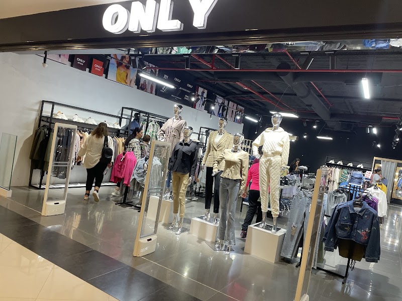 مول ابن بطوطة