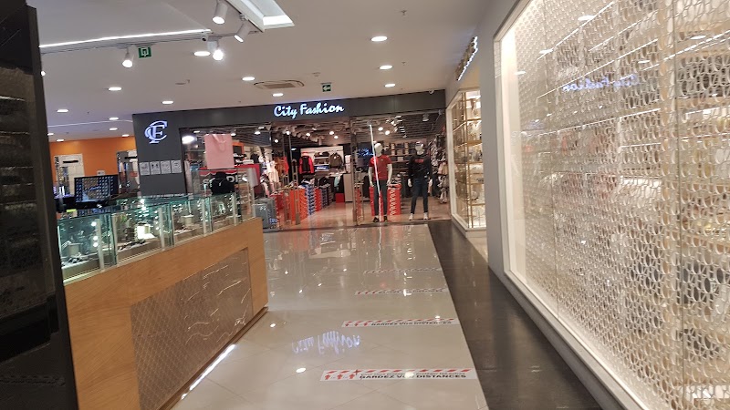 مول ابن بطوطة 4