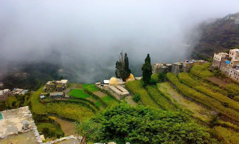مدينة تعز