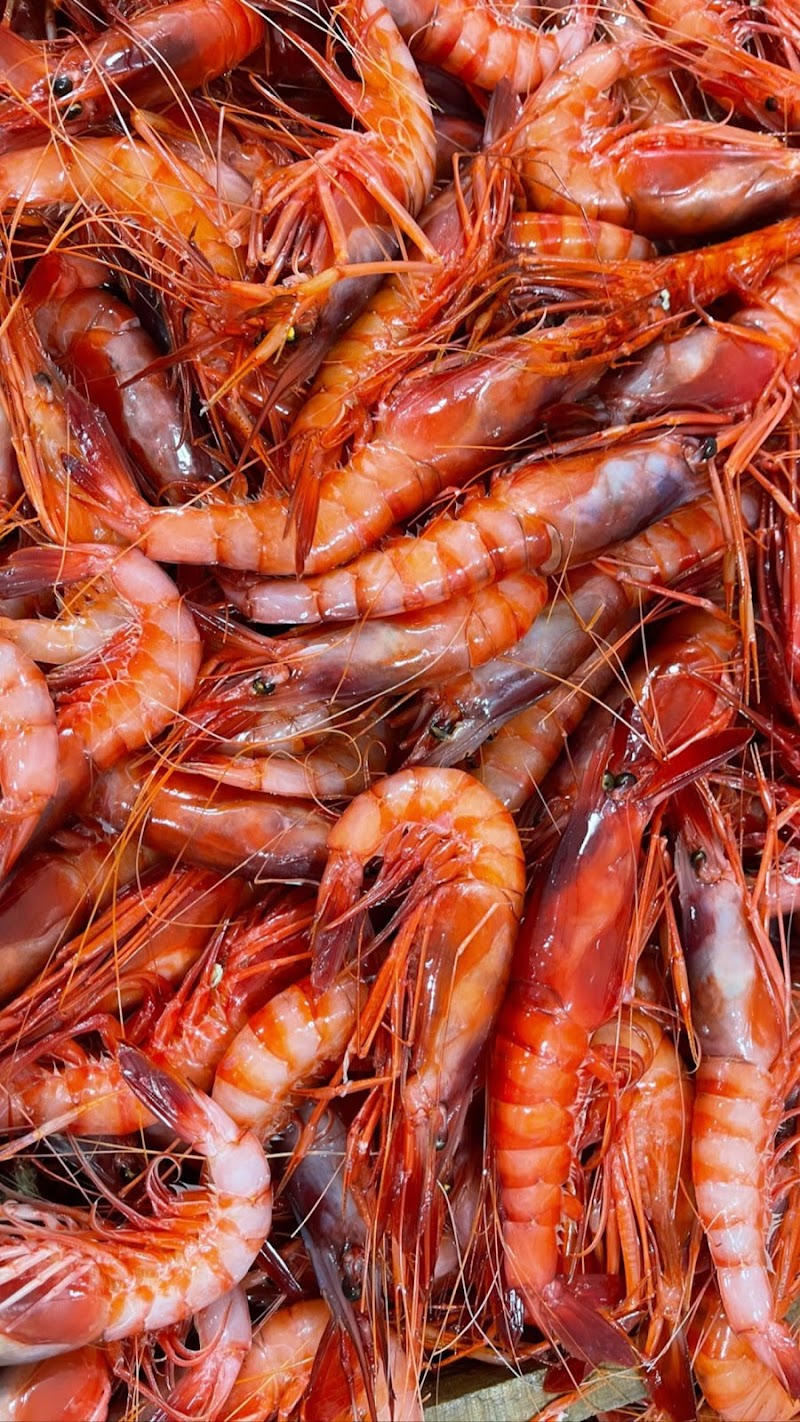 لا بايلا الجزائر 3